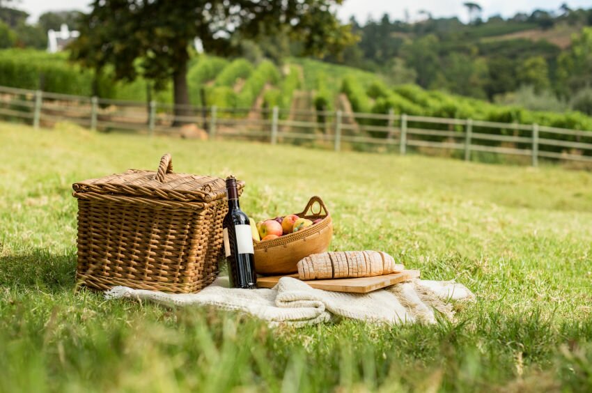 Picnic at park